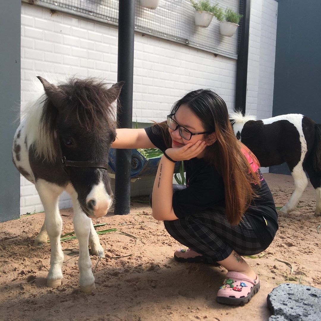 ca phe thu cung TP..HCM anh 5