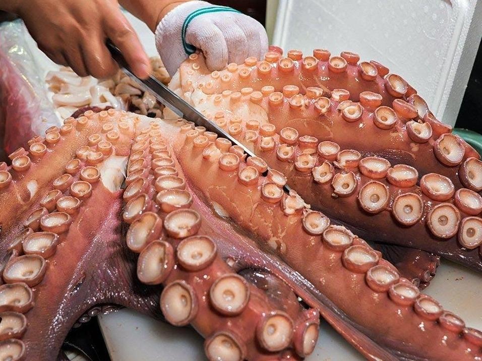 Dau bep che bien bach tuoc khong lo nang 17 kg gia 350 USD hinh anh