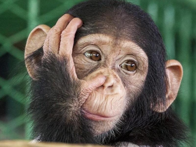 Khi dung da dap vo kinh, co gang 'tron' khoi so thu hinh anh