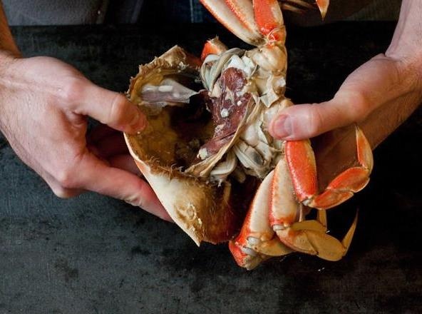 Dan sanh an mach cach tach vo cua sang chanh, khong sot thit hinh anh