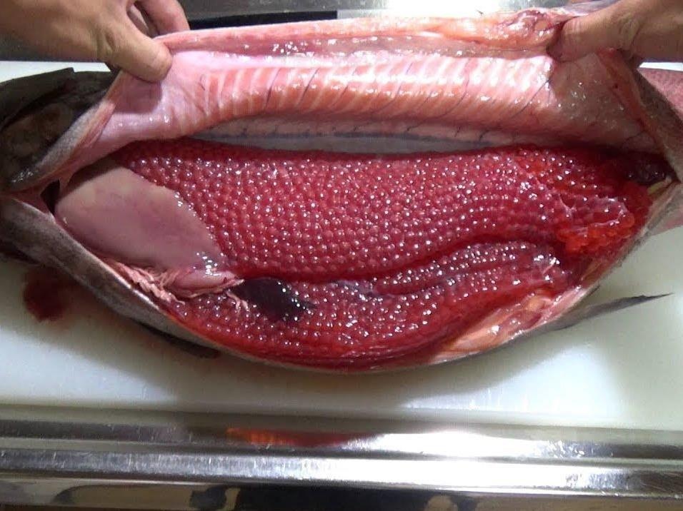 Mo bung ca hoi vua, thuc khach phat hien buong trung khong lo hinh anh