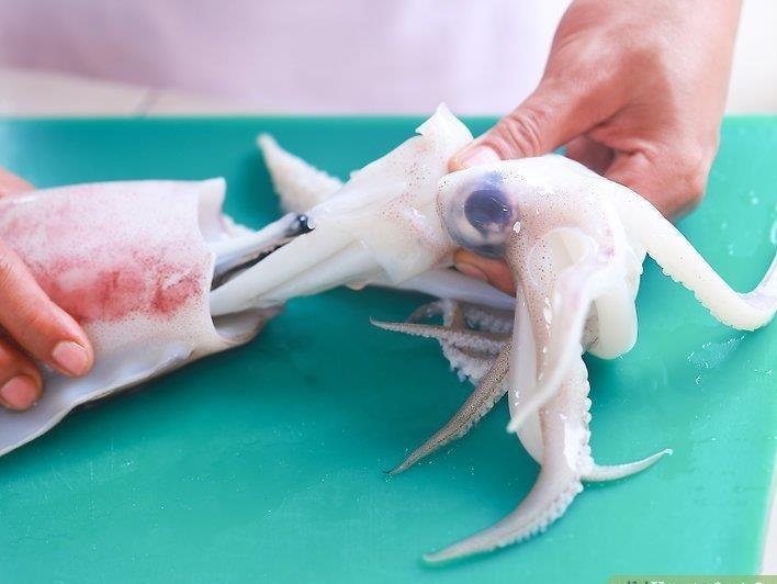 Muc ong khong lo to bang ban tay xao cay nhin thay la them hinh anh