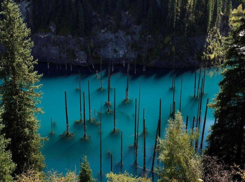 Kham pha the gioi sieu thuc o ho cay moc nguoc la ky hinh anh