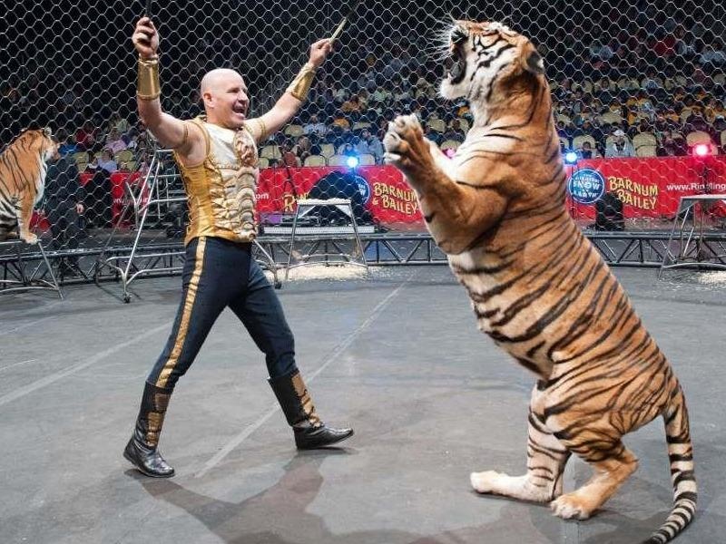 Ho leo rao bo tron khoi rap xiec khi dang bieu dien hinh anh