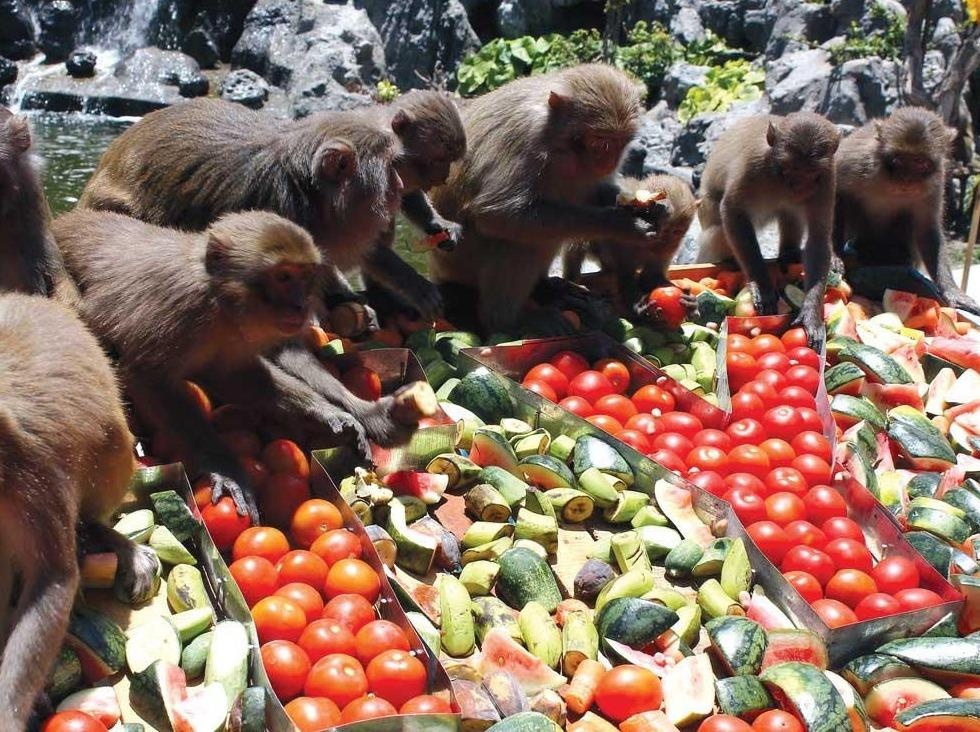 Hon dao bi khi xam chiem o Viet Nam len bao nuoc ngoai hinh anh