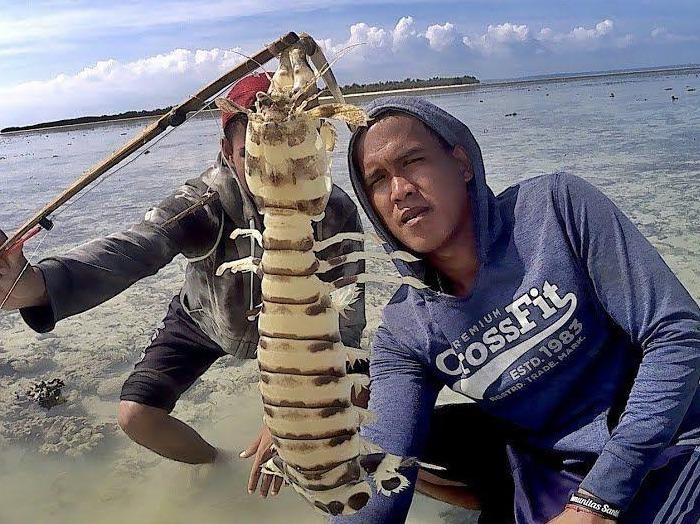 Nguoi Han bat be be o bien the nao? hinh anh