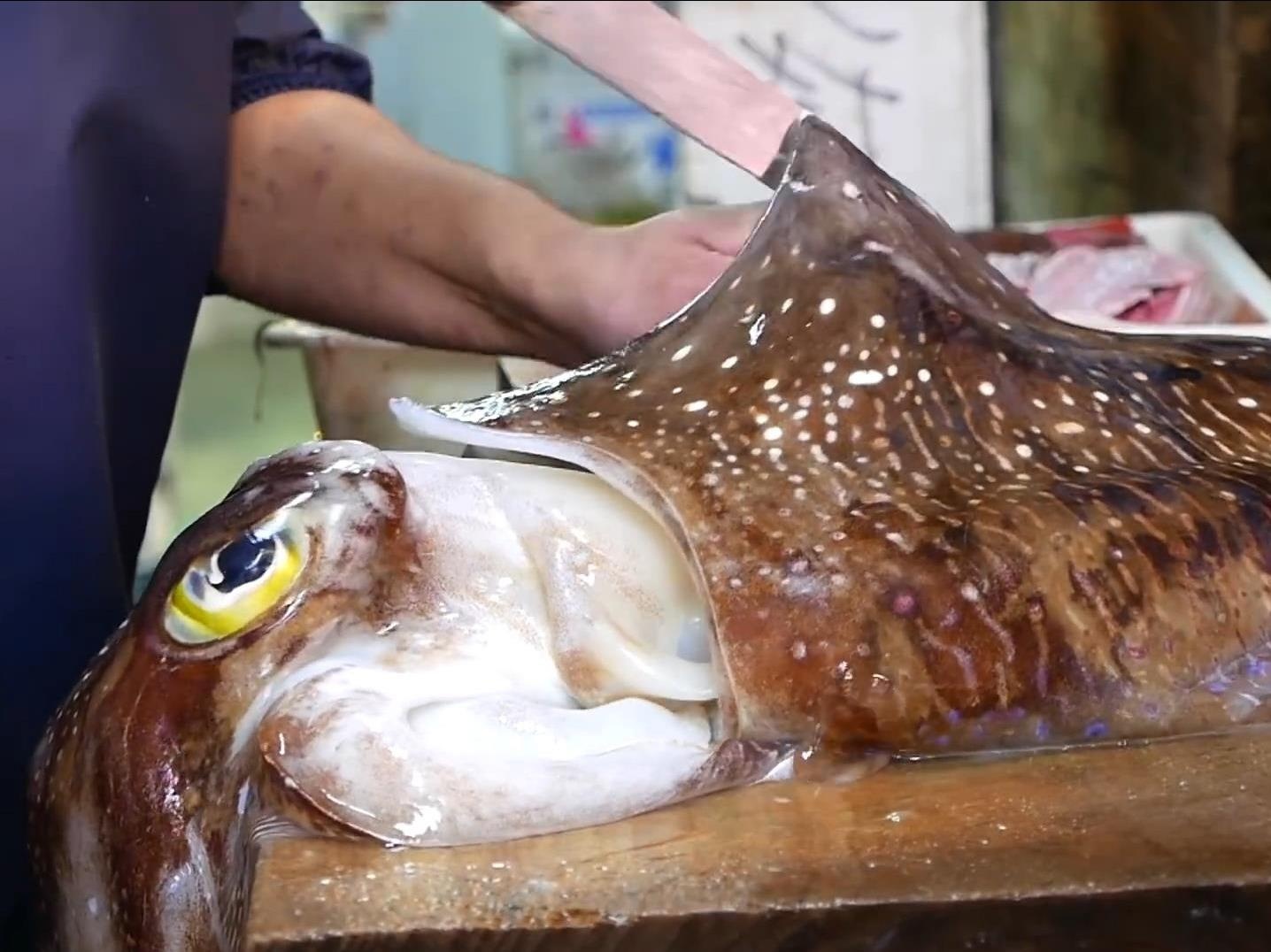 Man so che muc nang co lon lam mon sashimi an tuong hinh anh