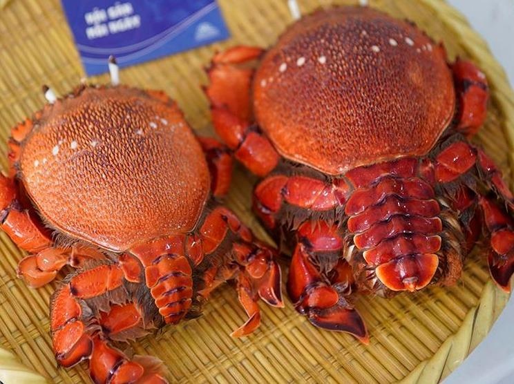 Cua hoang de vi ngon nhu tom hum, dac san chi danh cho vua chua hinh anh