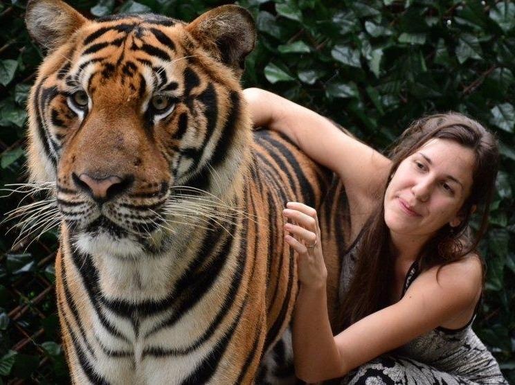 Mao hiem chup anh cung ho, gau, du khach bi tan cong bat ngo hinh anh