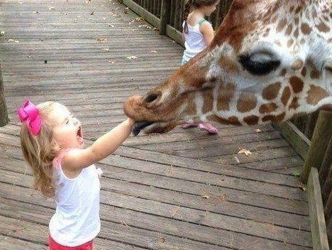 Tre em giat minh, khoc thet truoc man ca khia cua dong vat hoang da hinh anh