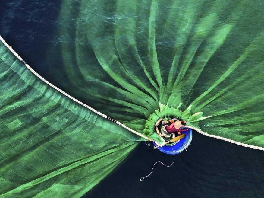 Nhiep anh gia Viet thang lon o cuoc thi quoc te ve moi truong hinh anh