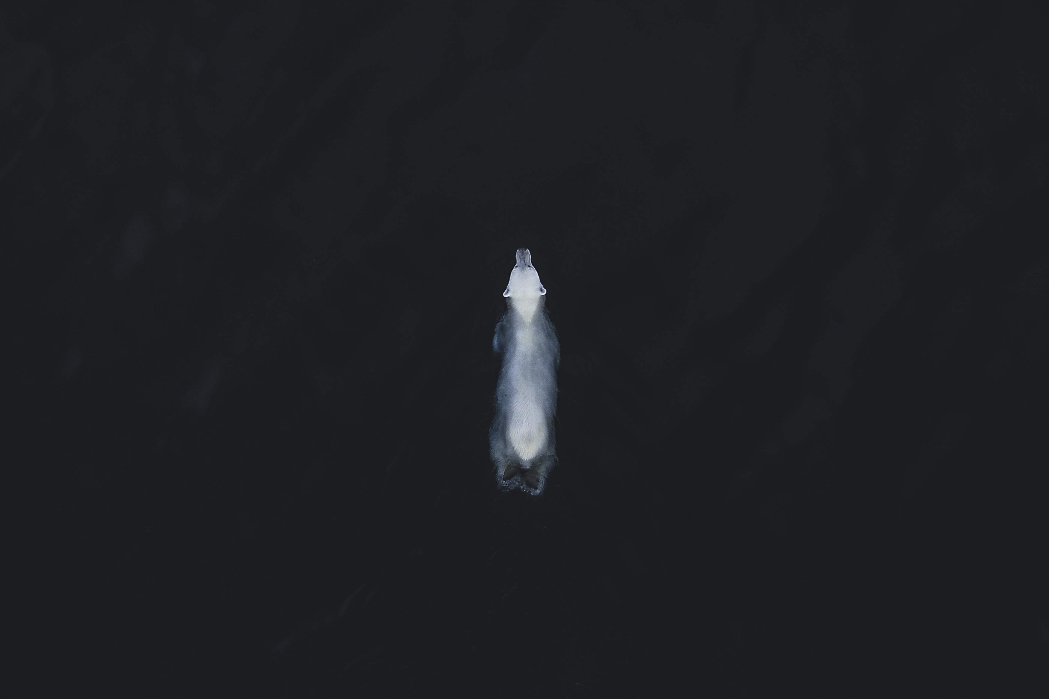 cuoc thi anh quoc te anh 5