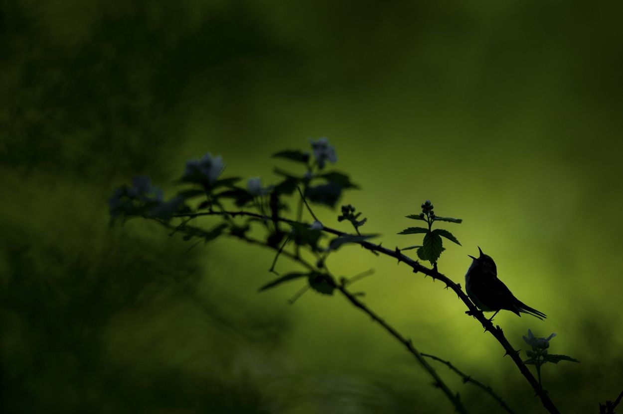 cuoc thi anh quoc te anh 6