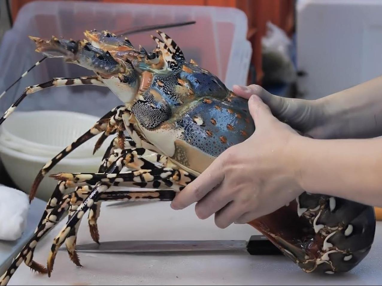 Che bien sashimi tu tom hum xanh co lon gia 700 USD hinh anh