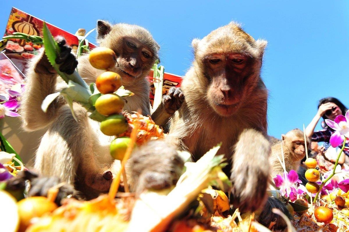 Khi chen chuc trong tiec buffet danh rieng cho minh hinh anh