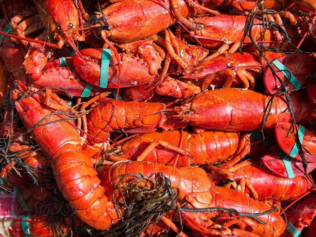 Nha hang moi ngay luoc gan 5 ta tom hum phuc vu khach hinh anh