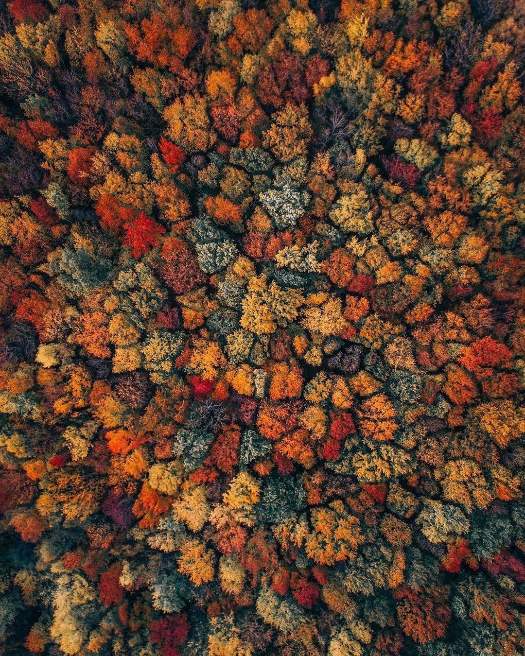 mua thu new england anh 2