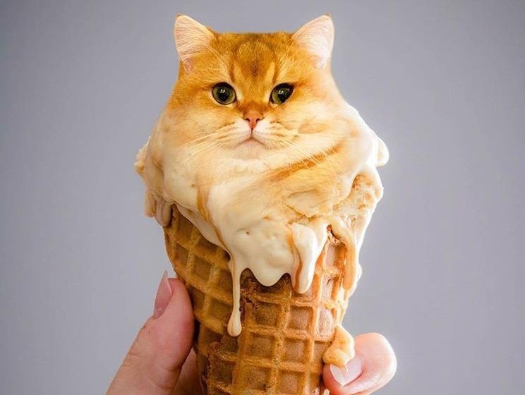 Tuong do an ngon le Halloween, hoa ra la anh ghep dinh cao hinh anh