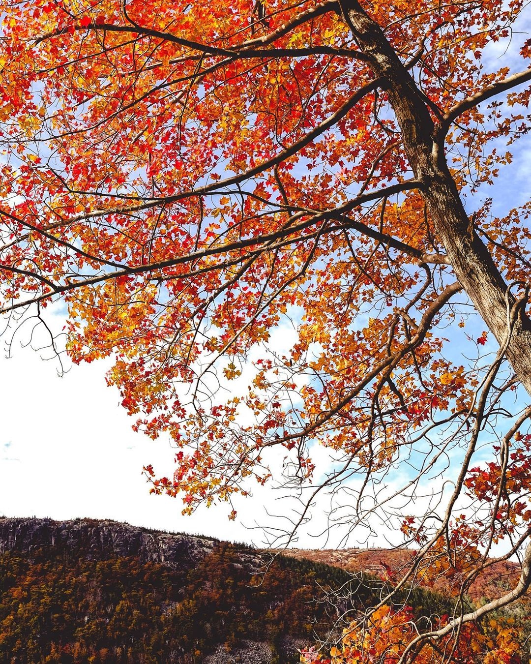 mua thu new england anh 11