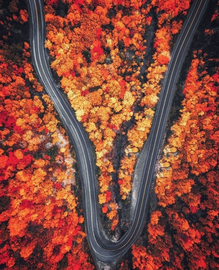 mua thu new england anh 1