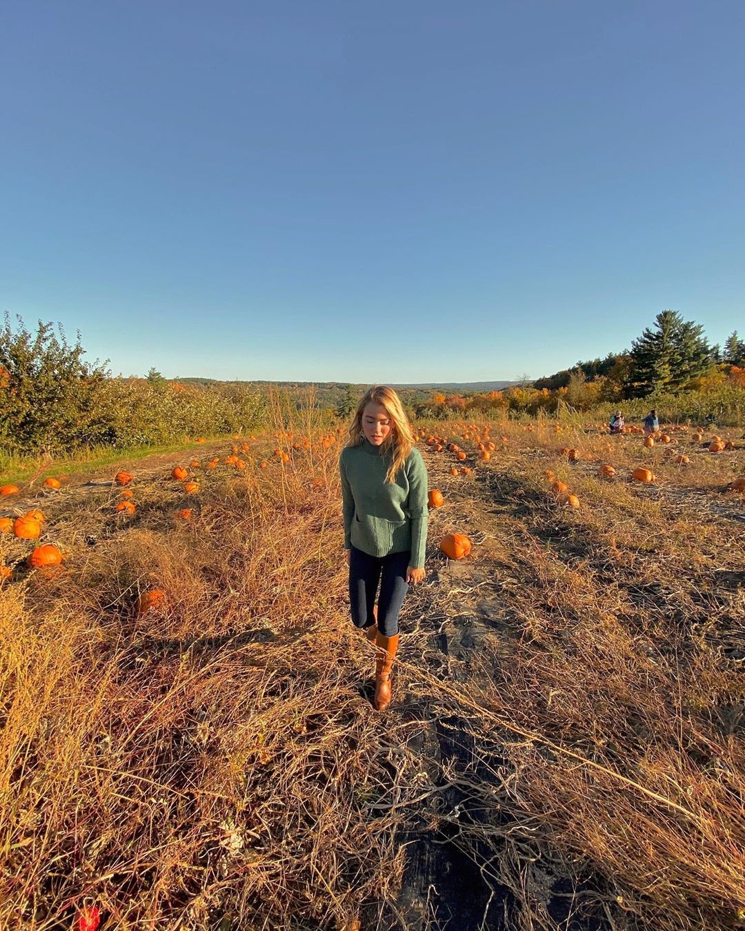 mua thu new england anh 13