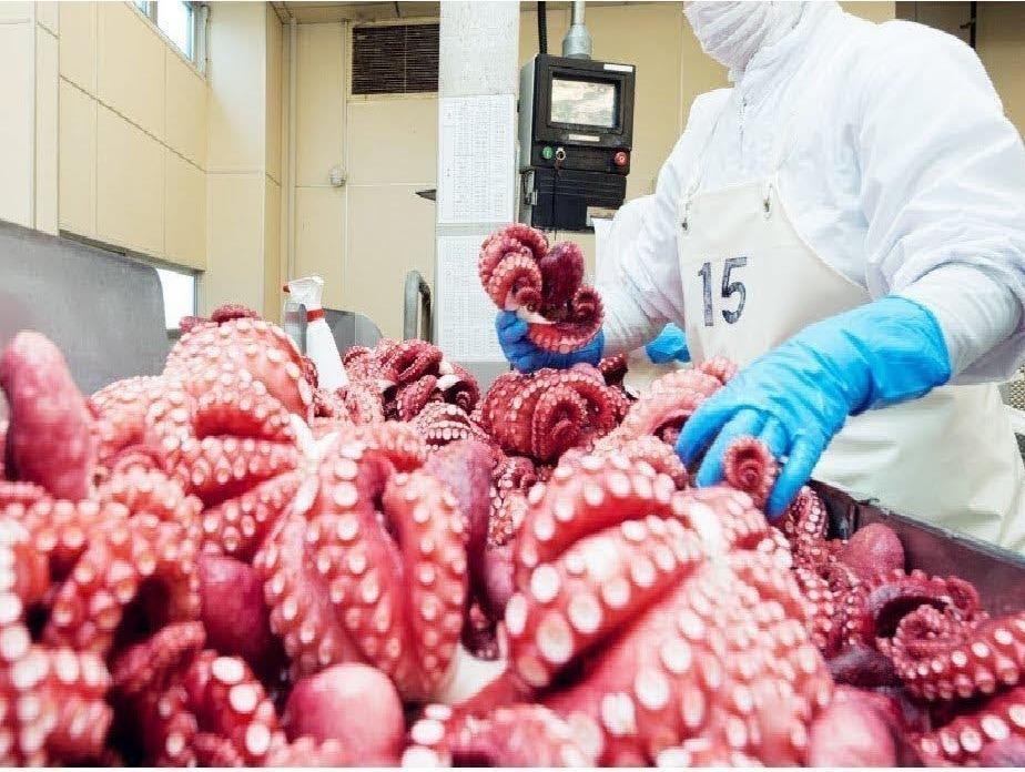 Bach tuoc duoc so che the nao trong day chuyen tu dong? hinh anh