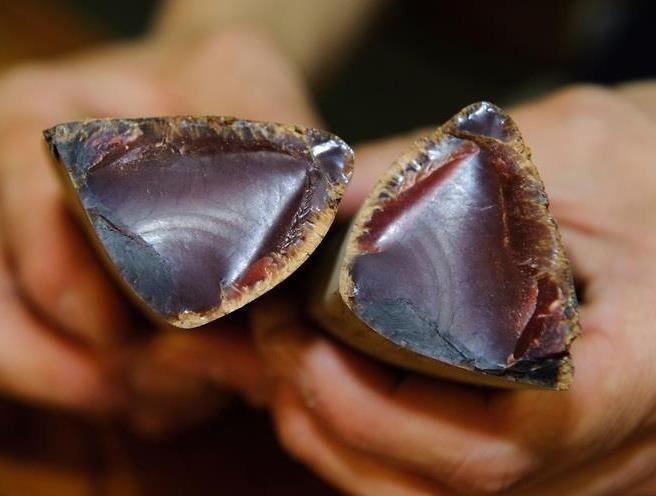 Nguoi Nhat lam dac san ca ngu cung nhu da the nao? hinh anh