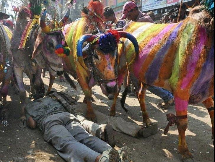 Hang chuc nguoi bi bo giam dap trong le hoi o An Do hinh anh