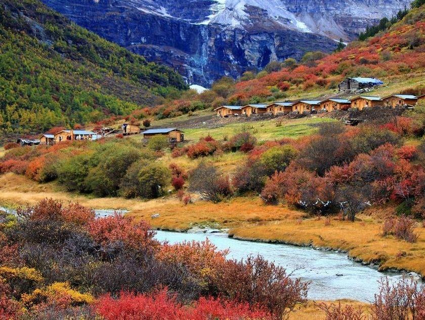 La cay dong loat chuyen mau trong mua thu Trung Quoc hinh anh