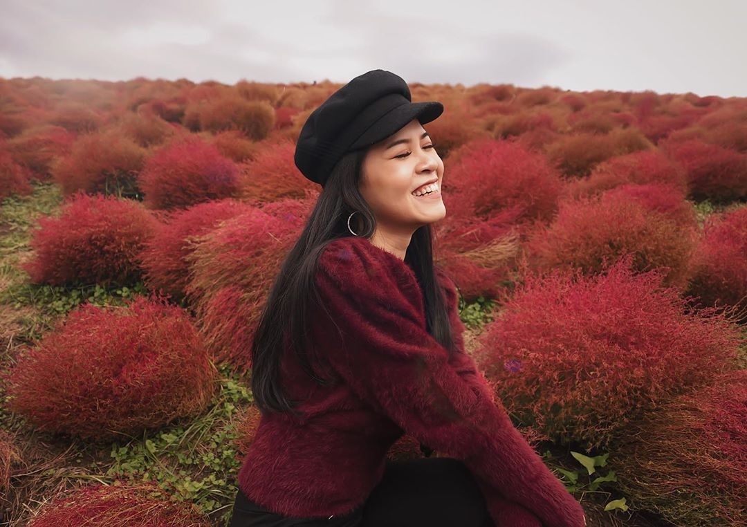 cỏ kochia nhật bản  ảnh 6 co kochia nhat ban anh 6