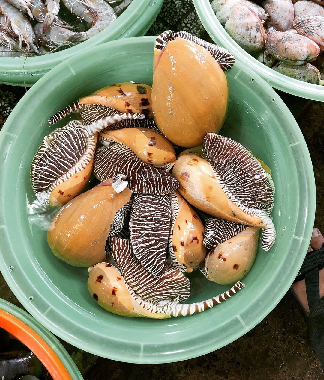 chợ hải sản hàng dương ảnh 3 cho hai san hang duong anh 3