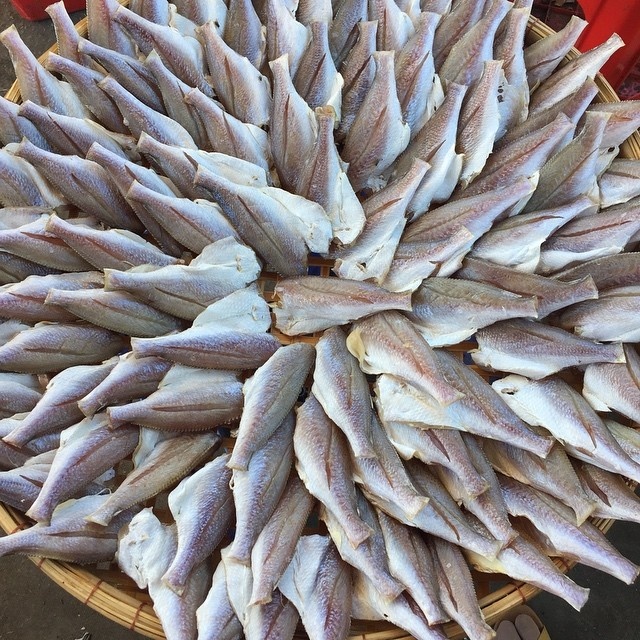 chợ hải sản hàng dương ảnh 14 cho hai san hang duong anh 14