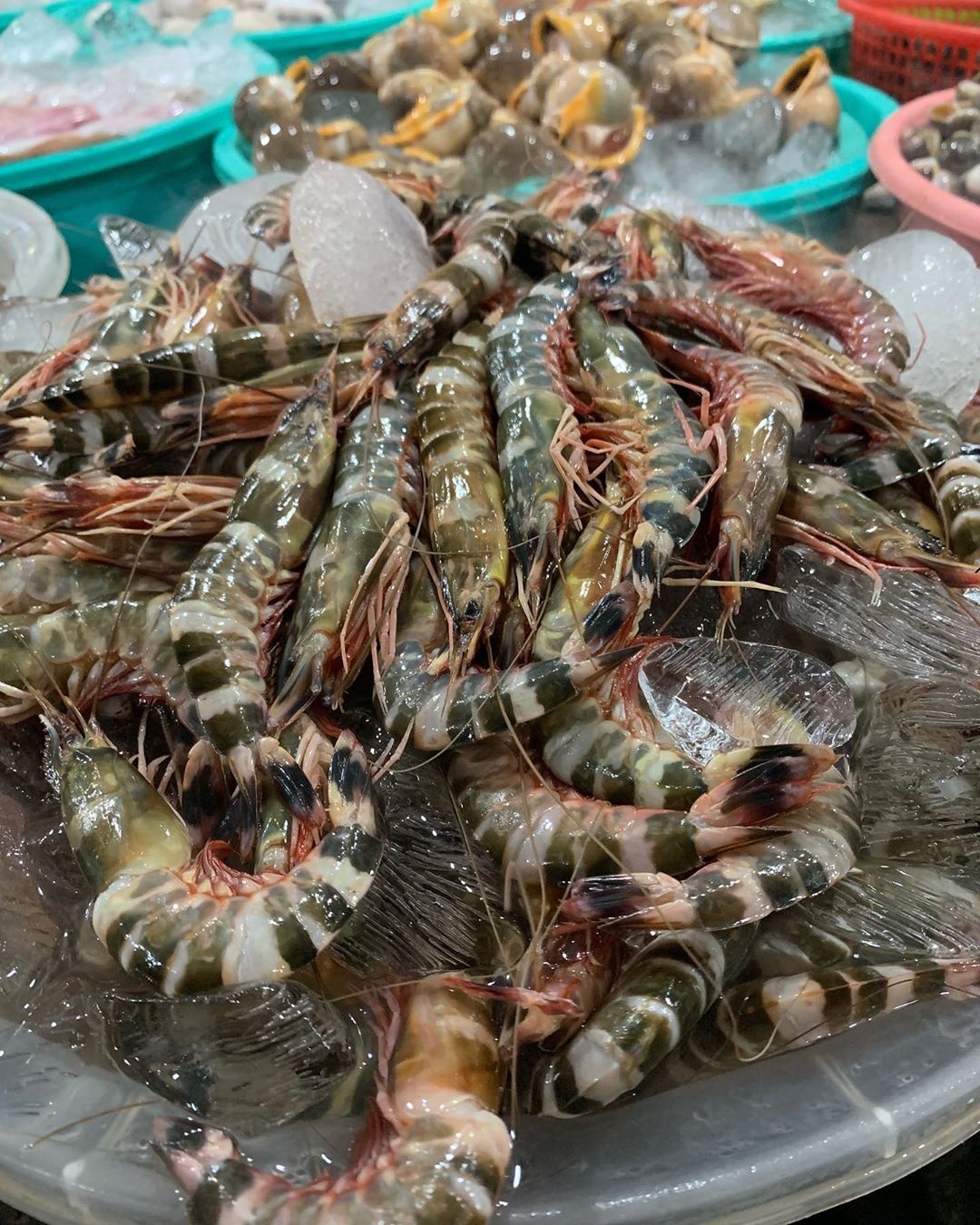 chợ hải sản hàng dương ảnh 4 cho hai san hang duong anh 4