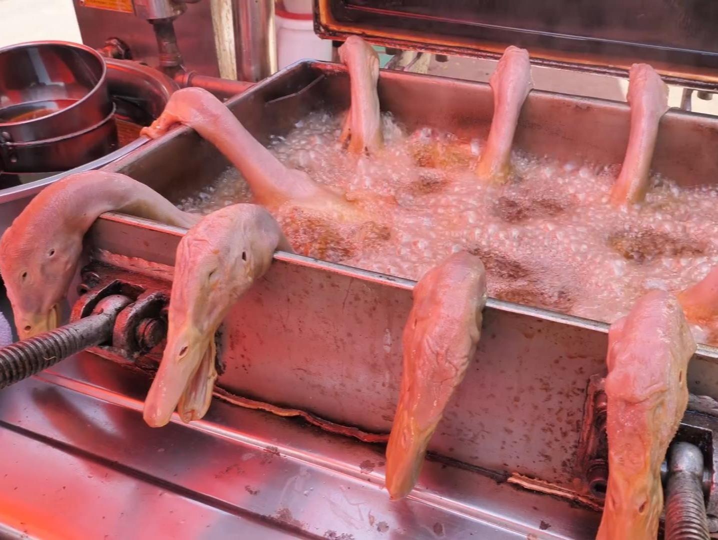 Nem thu vit tam dau soi tren duong pho Trung Quoc hinh anh