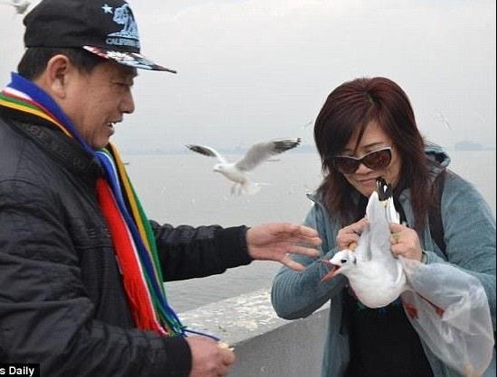 Khach Trung Quoc bi chi trich vi ep hai au an hinh anh