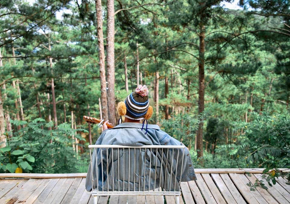 homestay view rung nui da lat anh 11