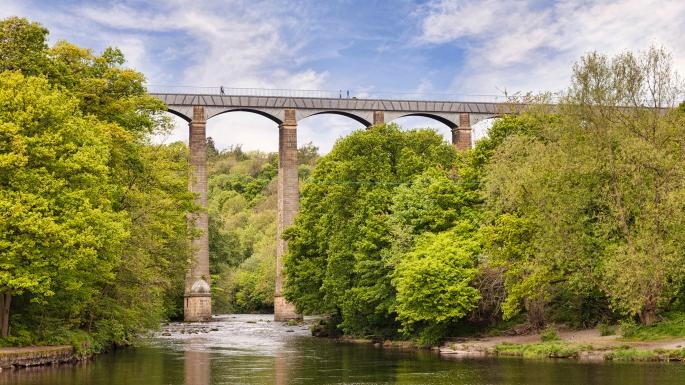 nhung cay cau nuoc tren the gioi anh 3