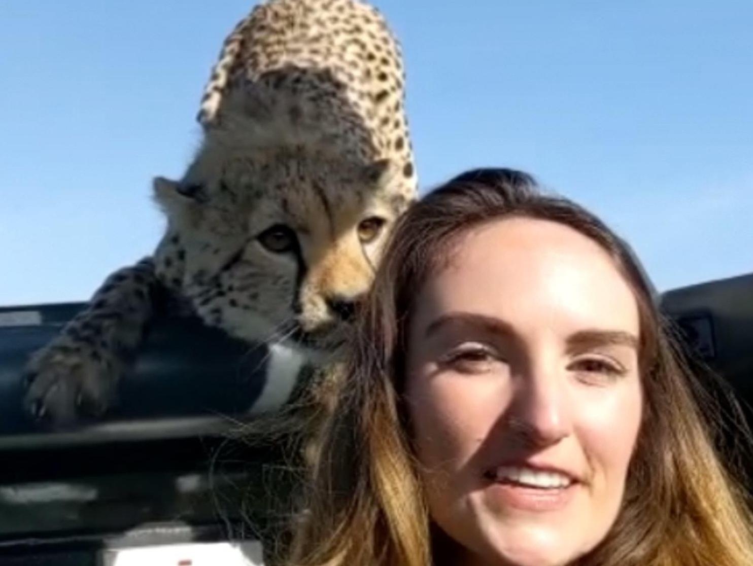 Bao dom treo len noc xe jeep ngui toc du khach hinh anh