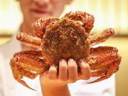 Quy trinh danh bat, so che cua long ngua cua Nhat Ban hinh anh