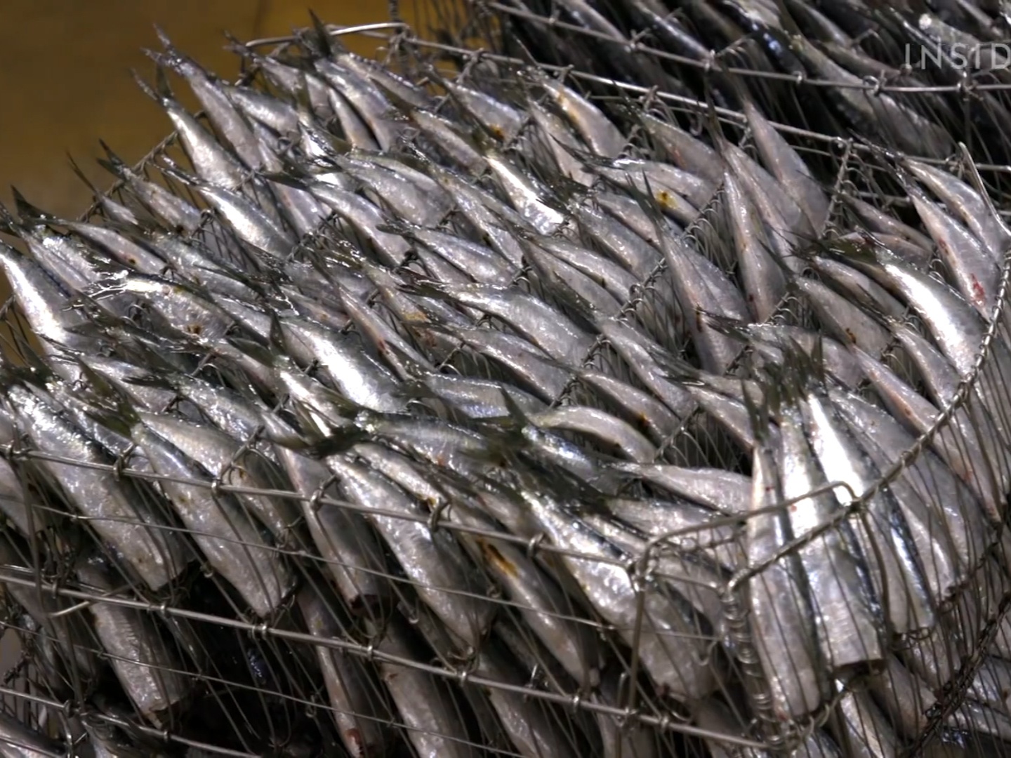 Quy trinh san xuat thu cong 30.000 hop ca moi moi ngay hinh anh