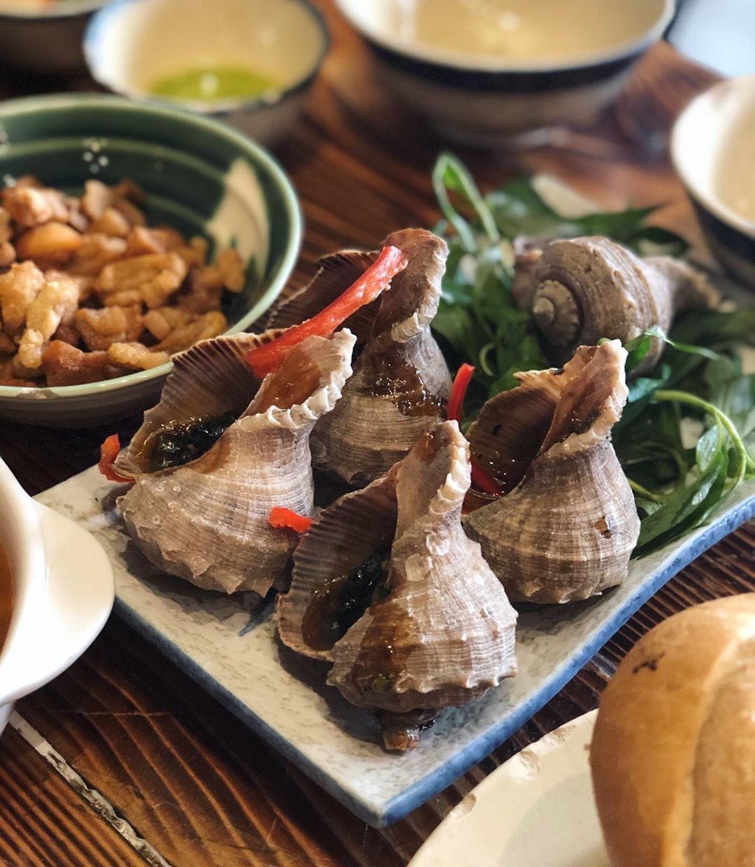 dia chi ban oc tp.hcm anh 16