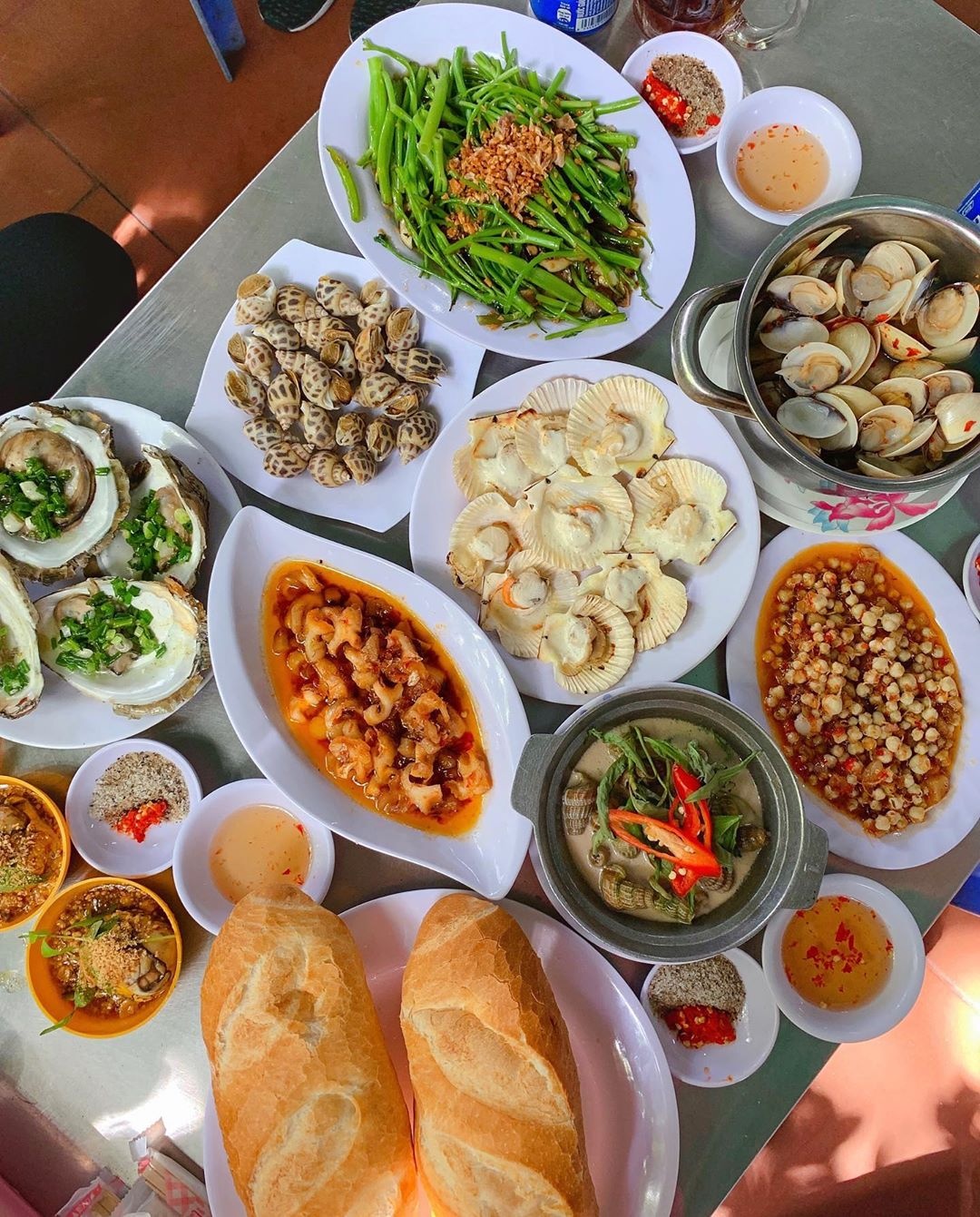 dia chi ban oc tp.hcm anh 7