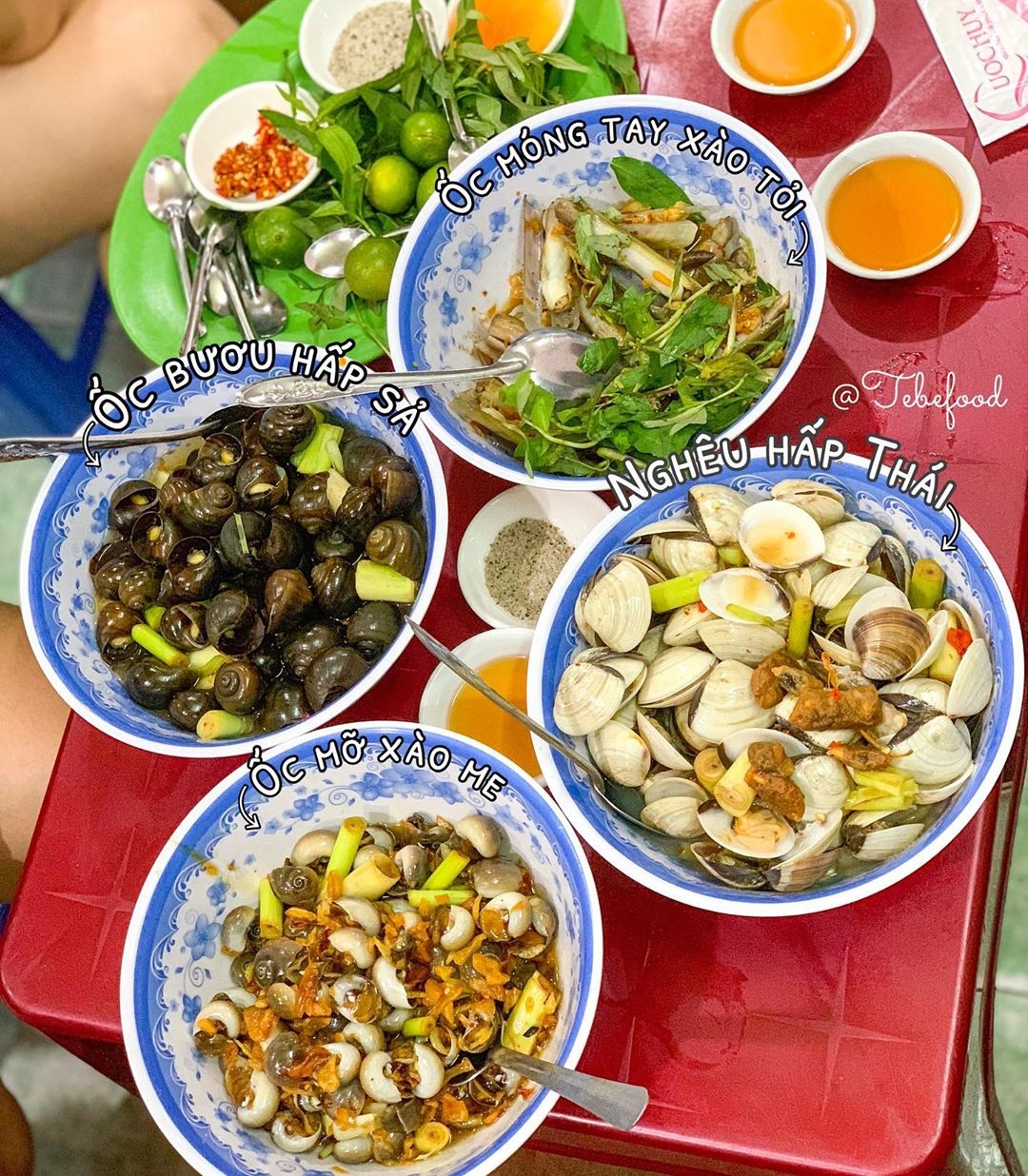 dia chi ban oc tp.hcm anh 10