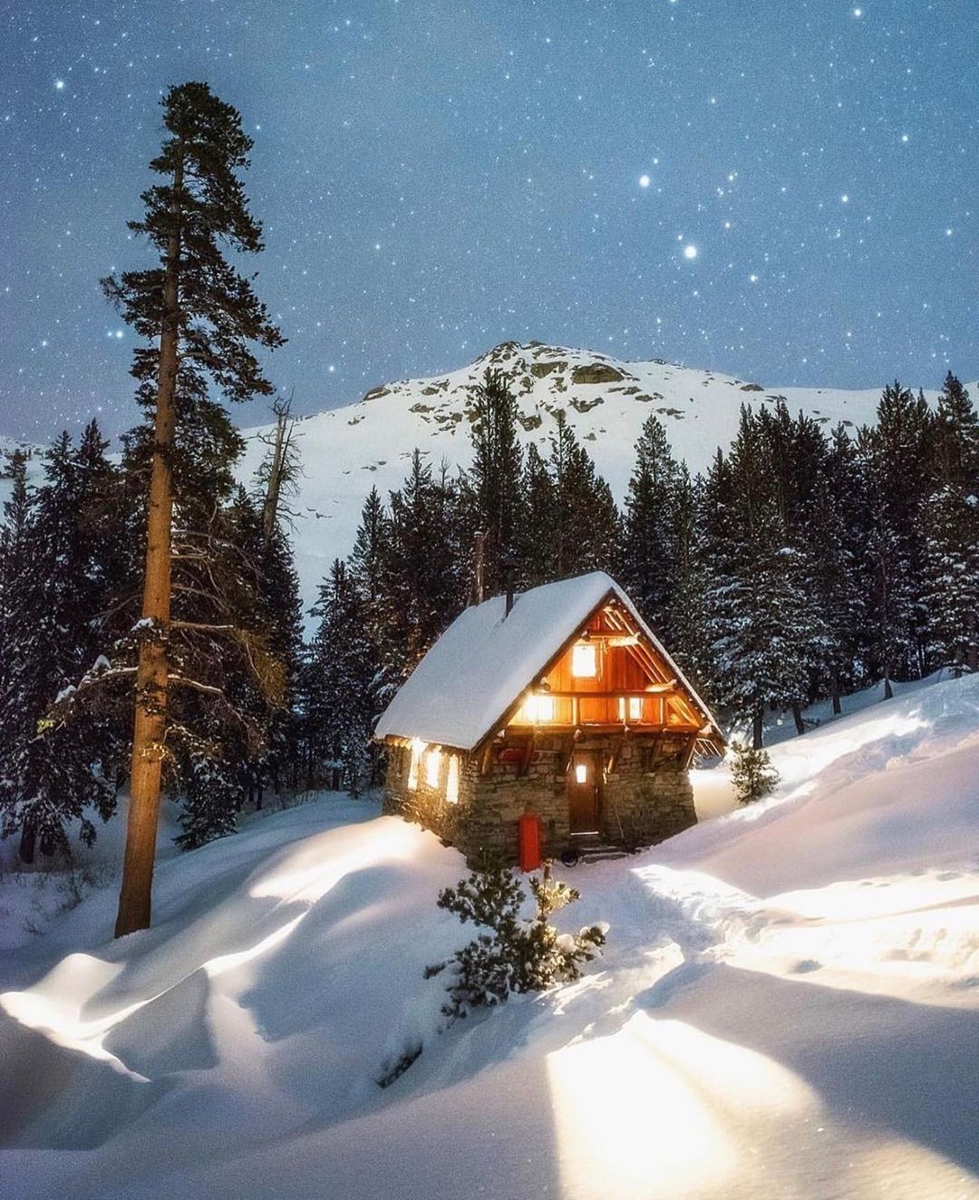 cong vien Sequoia phu tuyet anh 6