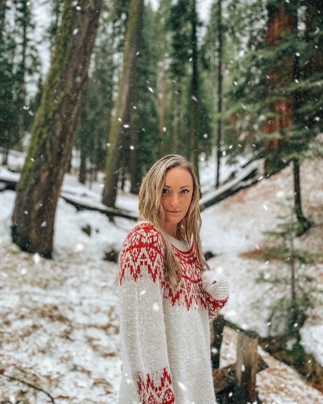 cong vien Sequoia phu tuyet anh 9