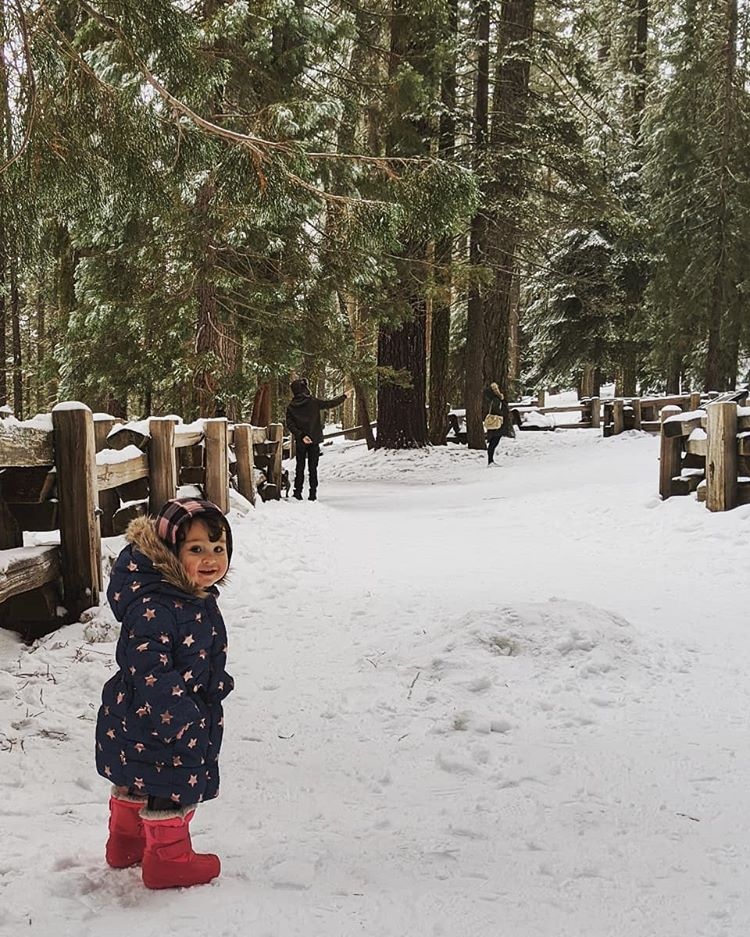 cong vien Sequoia phu tuyet anh 13