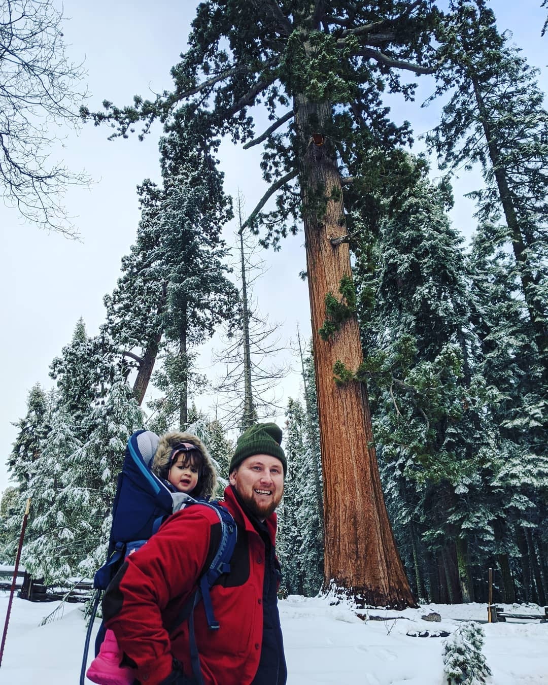 cong vien Sequoia phu tuyet anh 11