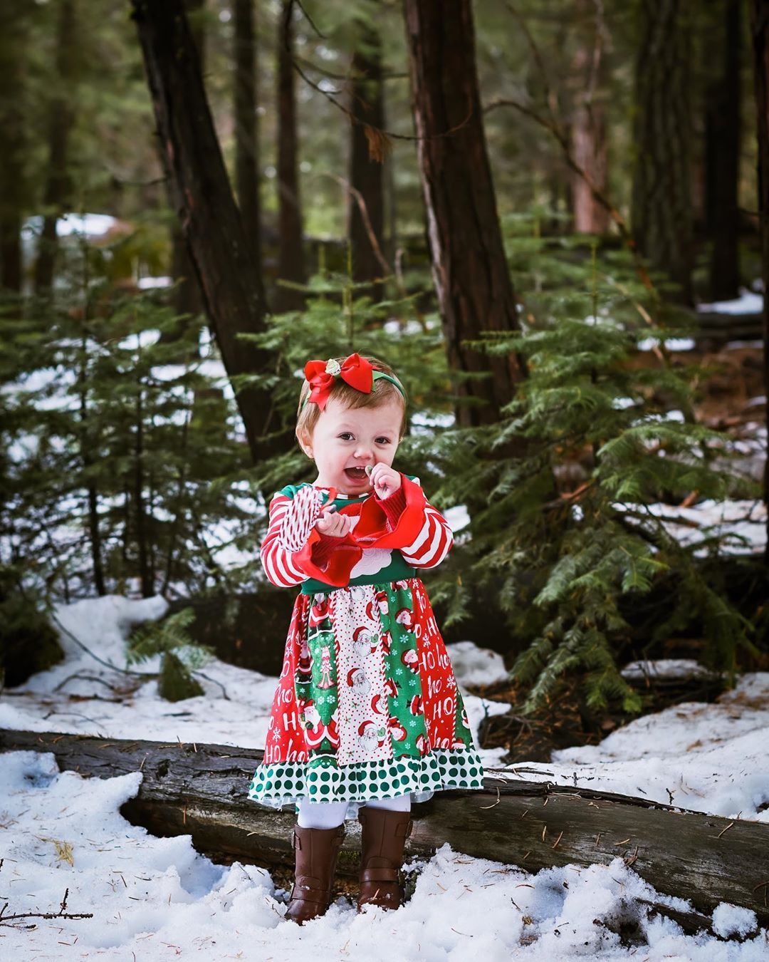 cong vien Sequoia phu tuyet anh 12