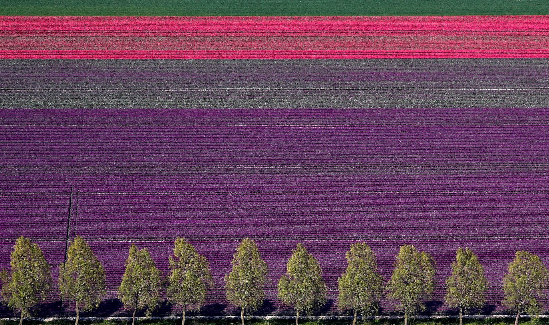 anh dep nam 2019 anh 4