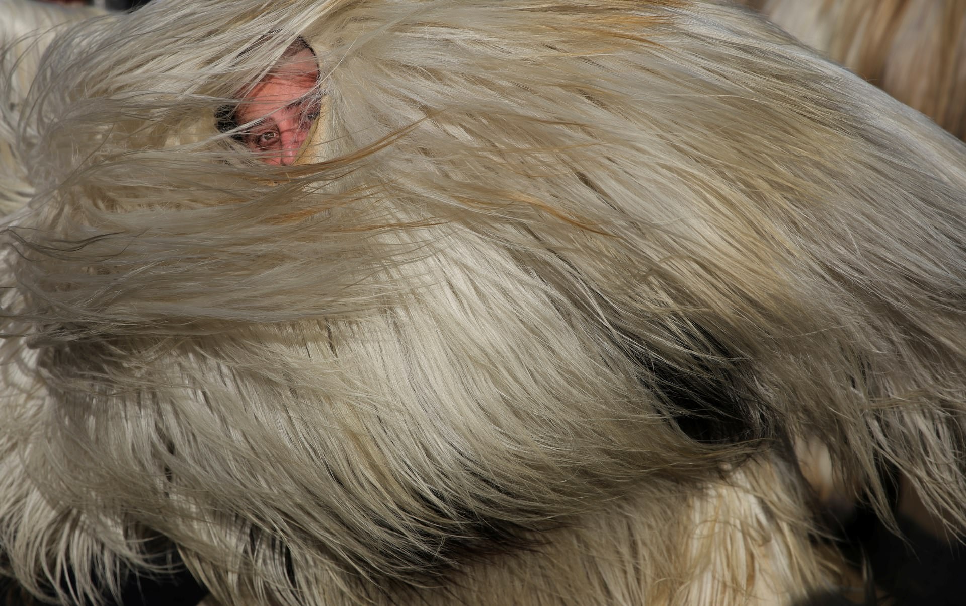 anh dep nam 2019 anh 16